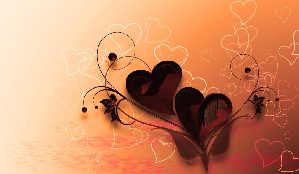 Oyé Oyé les amoureux il vous reste 25 jours pour préparer la Saint-Valentin ! - plare. 25 jours - plare.