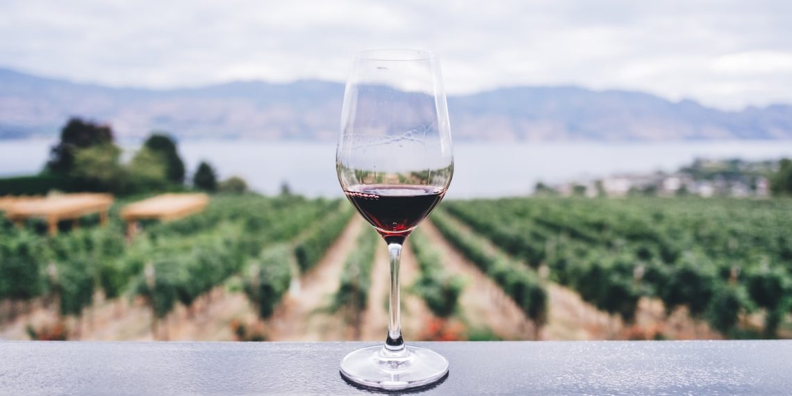 Les 5 meilleures routes des vins en France pour les œnophiles - plare. clear wine glass overlooking orchard during daytime