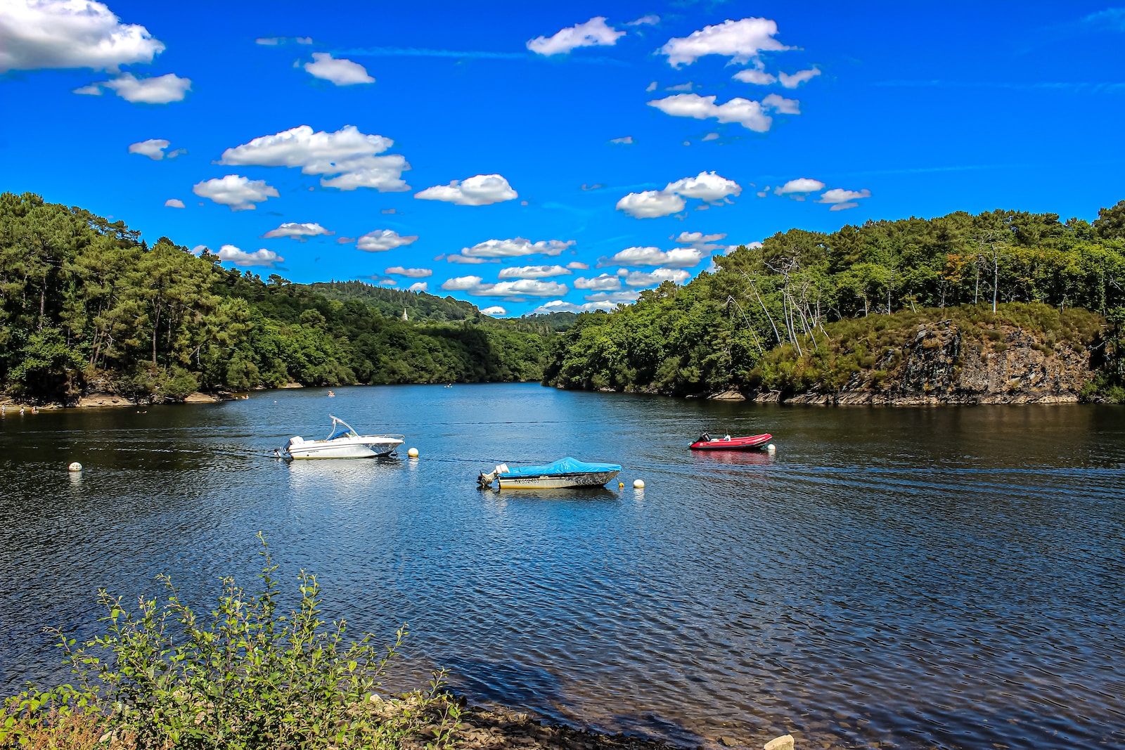 three boats floating on top of a lake surrounded by trees