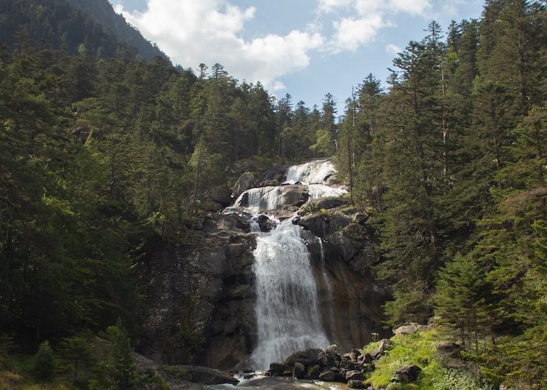 waterfalls in the middle of forest during daytime