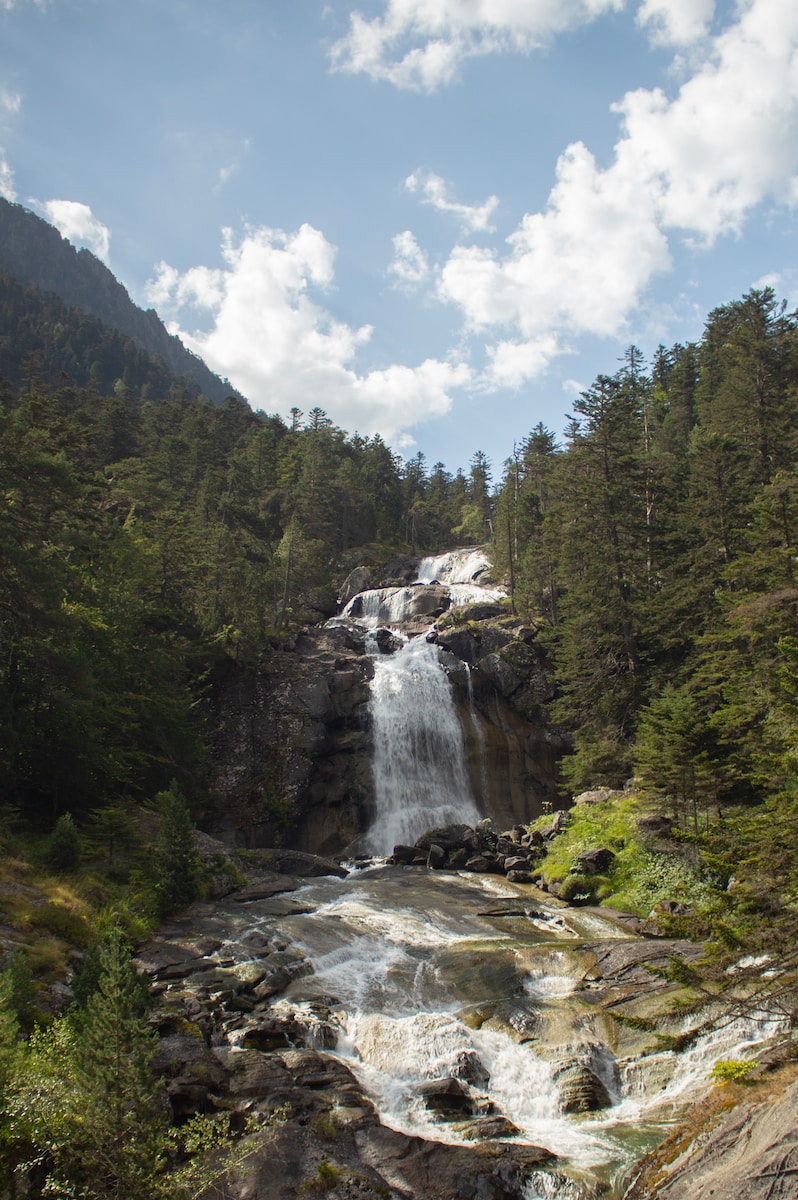 waterfalls in the middle of forest during daytime