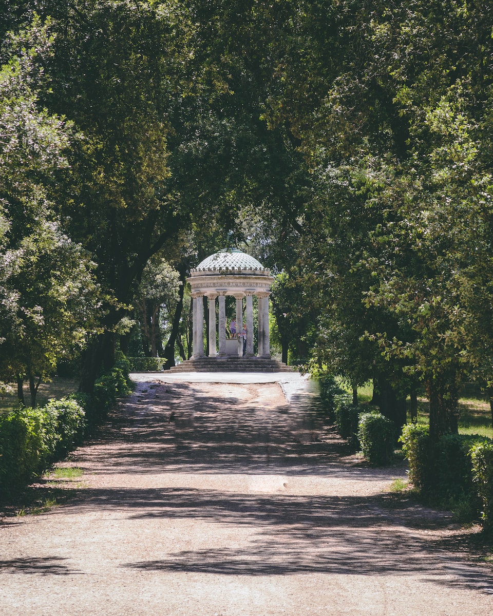 white gazebo surrounded of green leaf tree