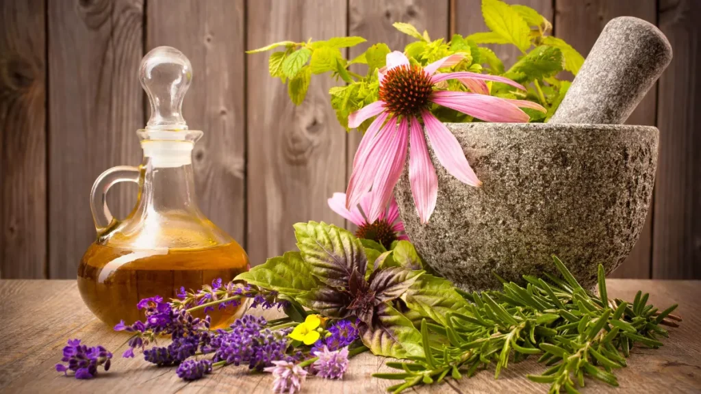 Boostez votre tonus grâce à la phytothérapie - plare. i106521 phytotherapie mededine douce kine efficacite douleurs physique - plare.