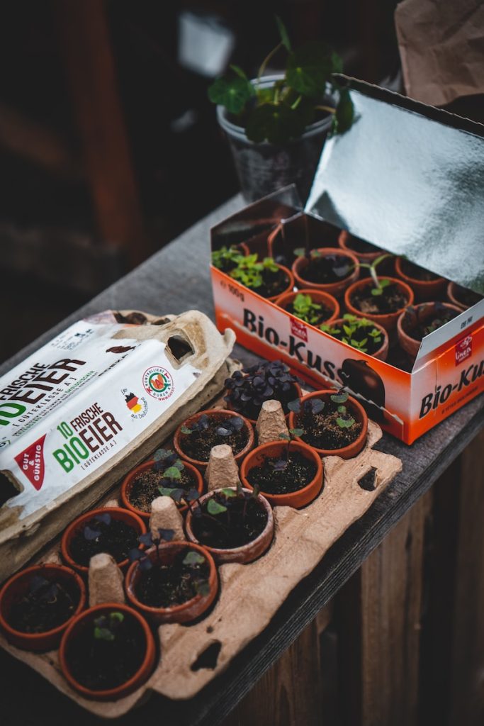 Guide ultime : Cultiver un potager de balcon bio en ville facilement - plare. white and green labeled box