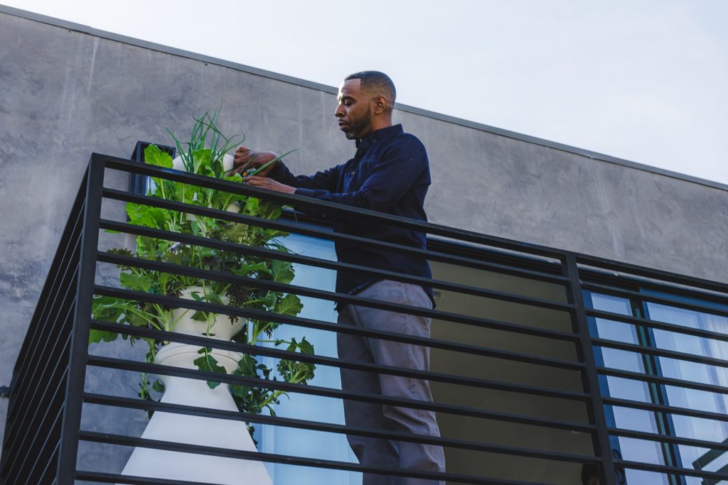 Guide ultime : Cultiver un potager de balcon bio en ville facilement - plare. man in black jacket standing beside green plant during daytime