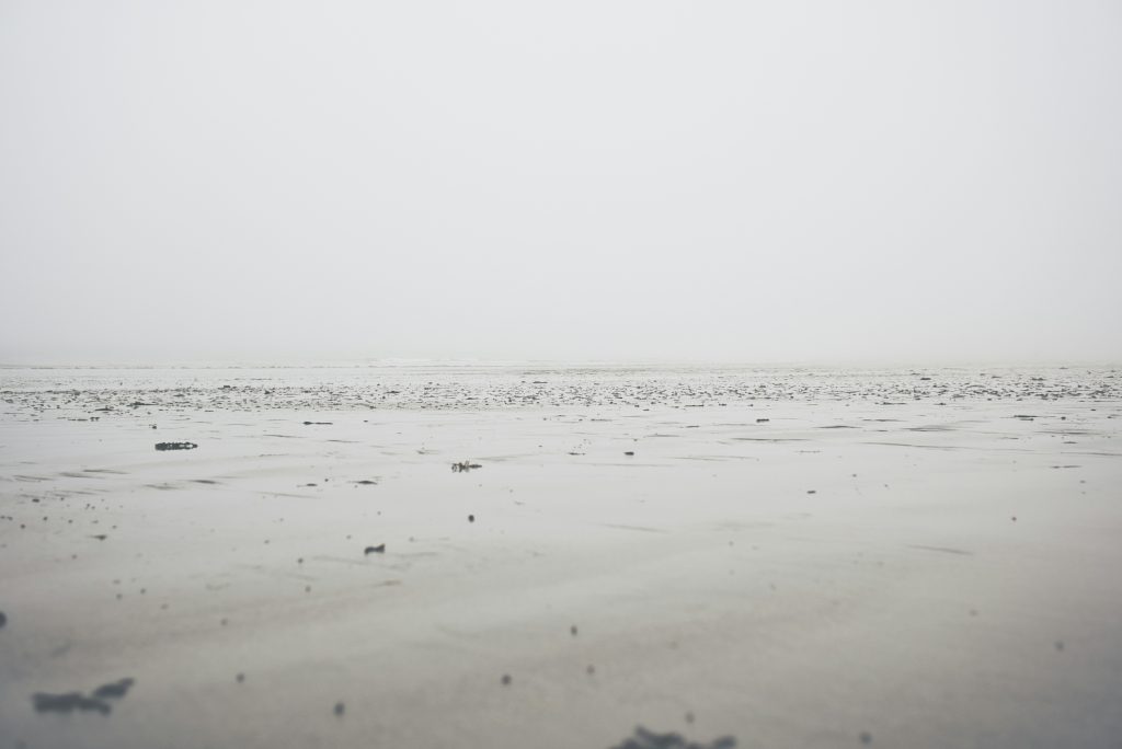 découvrez l'énigmatique mystère de la disparition dans notre collection de produits innovants et captivants.