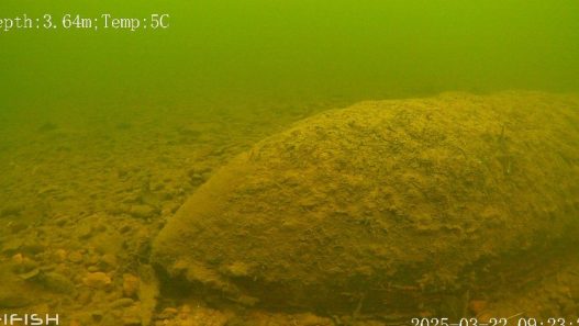 Adolescent de 14 ans fait s'écraser un drone sur une bombe de la Seconde Guerre mondiale [Vidéo]