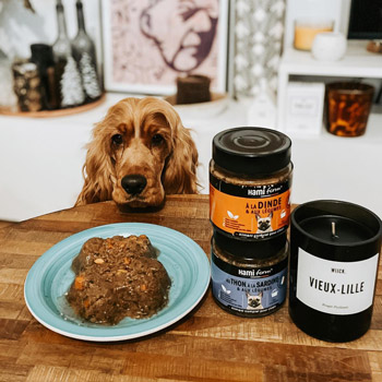 découvrez notre sélection des meilleures plateformes pour commander de la nourriture pour vos animaux. trouvez des options de qualité, des conseils d'experts et des offres avantageuses pour prendre soin de vos compagnons à quatre pattes.