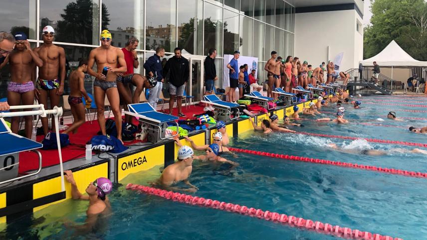 découvrez notre sélection des meilleurs sites dédiés à la natation ! que vous soyez débutant ou nageur confirmé, trouvez des conseils, des techniques, des entraînements et des actualités pour améliorer votre expérience aquatique.