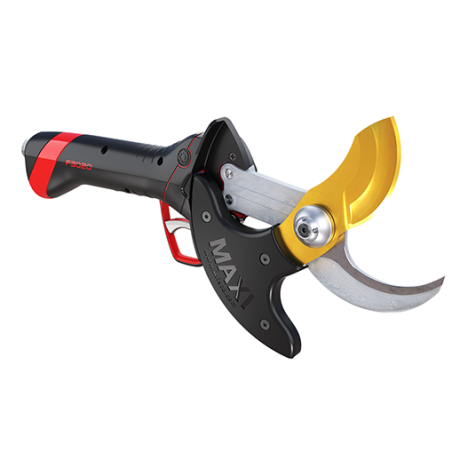 découvrez les sécateurs électriques 2025, l'outil indispensable pour simplifier vos tâches de jardinage. performants, ergonomiques et respectueux de l'environnement, ces sécateurs révolutionnent la taille des plantes tout en offrant un confort d'utilisation inégalé. idéals pour les amateurs et les professionnels, ils allient innovation et efficacité pour un jardinage sans effort.