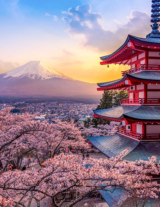 découvrez les destinations incontournables du japon en 2025. explorez des lieux fascinants, de la modernité de tokyo à la sérénité de kyoto, et plongez dans la culture japonaise unique. préparez votre voyage et vivez une expérience inoubliable au pays du soleil levant.