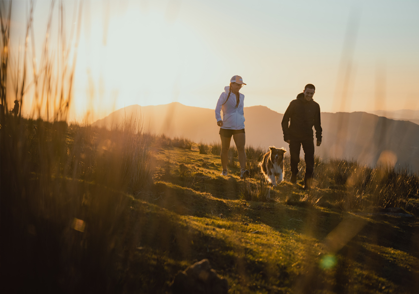 découvrez les meilleures plateformes de randonnée qui vous aideront à planifier vos aventures en pleine nature. explorez des itinéraires variés, bénéficiez des conseils d'experts et trouvez l'inspiration pour vos prochaines excursions en plein air.