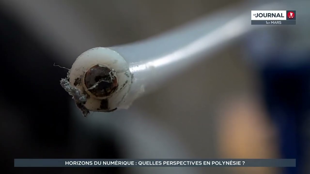 découvrez tout sur le câble google en polynésie : un nouveau projet d’infrastructure numérique pour améliorer la connectivité internet et booster l’innovation technologique dans la région. actualités, enjeux et perspectives.