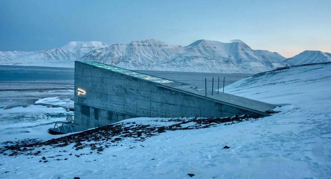 Des graines pour un avenir durable : comment elles pourraient nourrir l'humanité