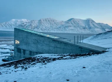 Des graines pour un avenir durable : comment elles pourraient nourrir l'humanité