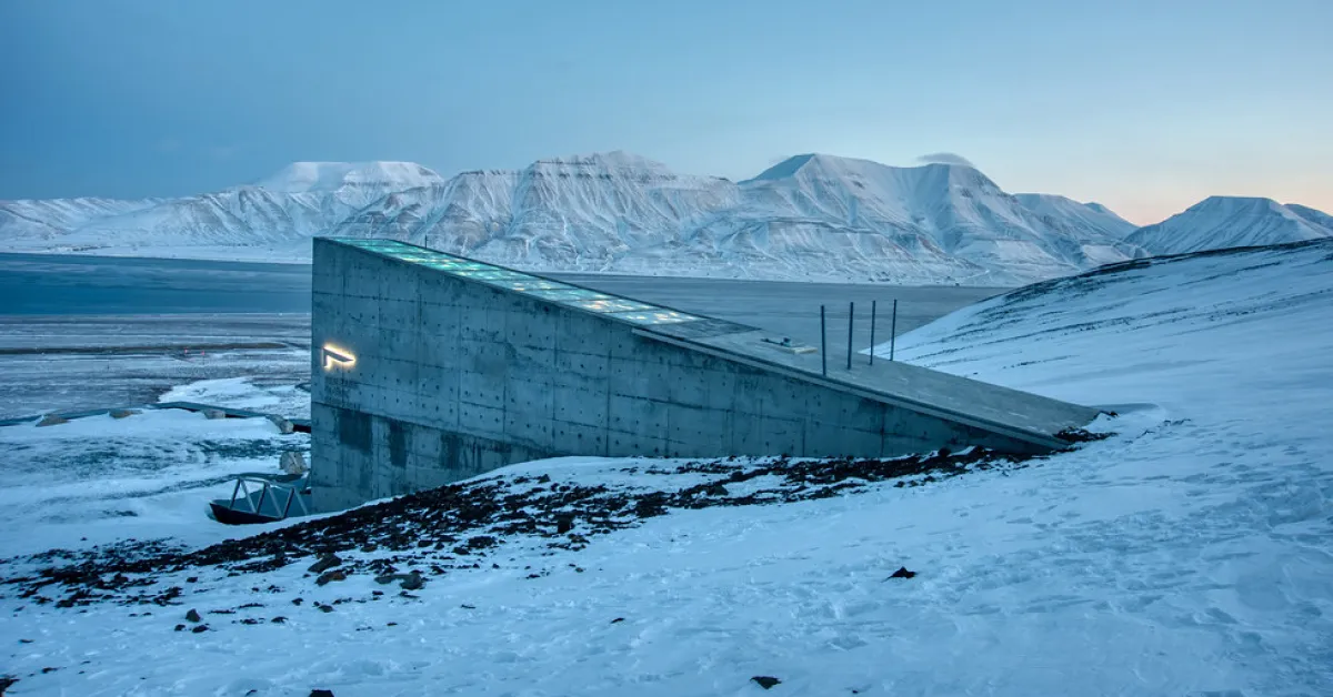 Des graines pour un avenir durable : comment elles pourraient nourrir l'humanité