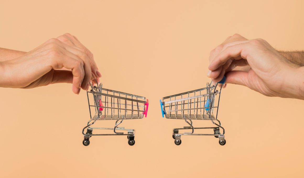 Quelle stratégie adopter pour protéger son pouvoir d’achat en période d’inflation ?