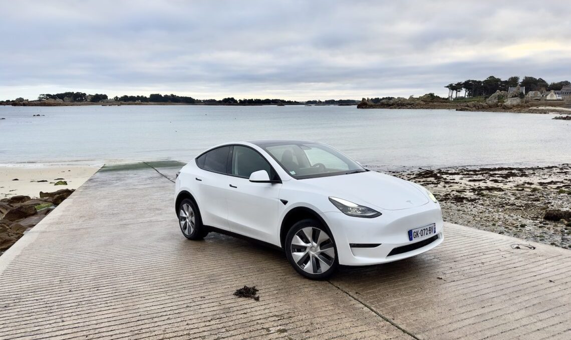 découvrez comment la tesla model y domine le marché électrique tandis que ford s'impose en leader dans d'autres segments automobiles.