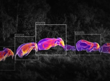 Dji révolutionne le secteur des drones : l'intelligence artificielle au-delà des caméras