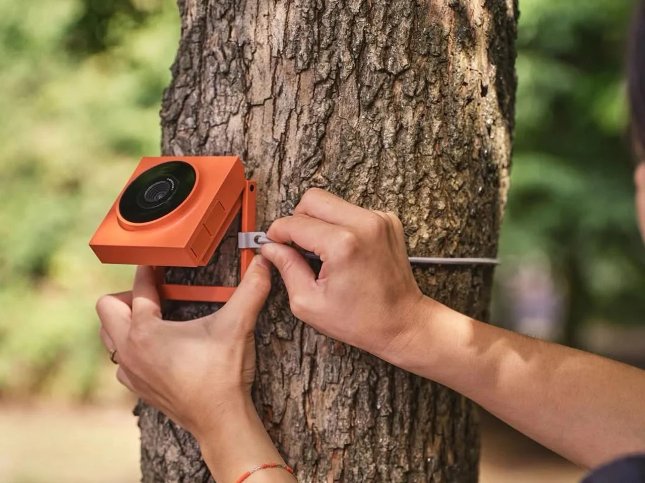 Découvrez la Caméra AI Inconnue Qui Espionne la Faune en Toute Discrétion !