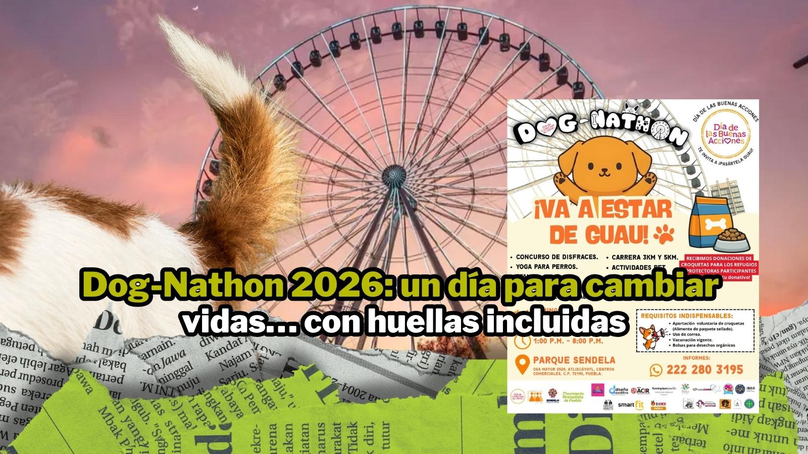 Dog Nathon arrive à Puebla : un événement solidaire pour chiens et refuges en quête de soutien