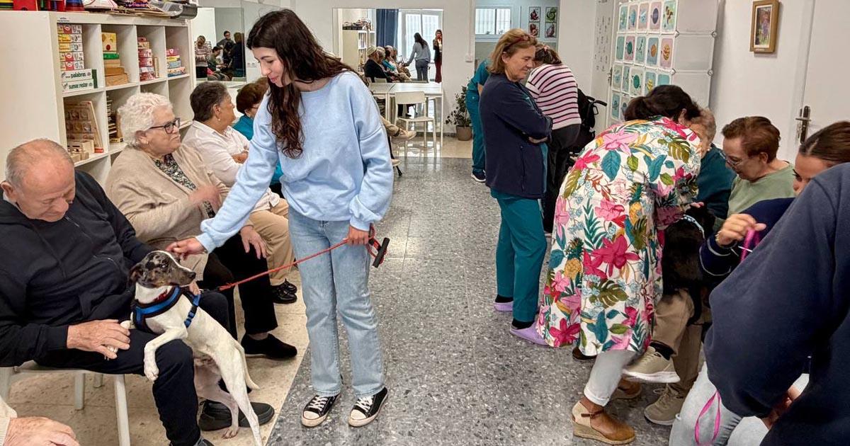 Jornada thérapeutique avec des chiens au Cemuproan : bien-être et complicité au Centre de Seniors San Juan
