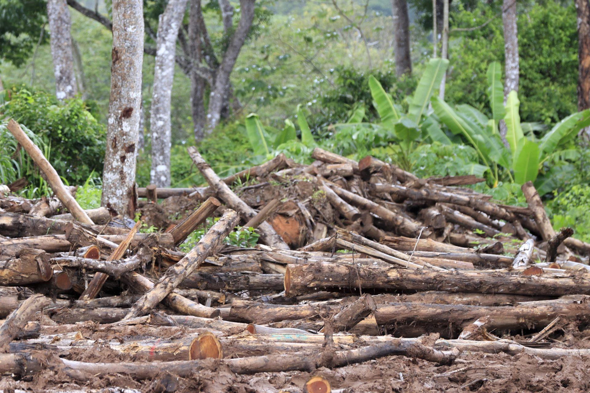 L’évolution de la recherche en Espagne : innovations et avancées prometteuses