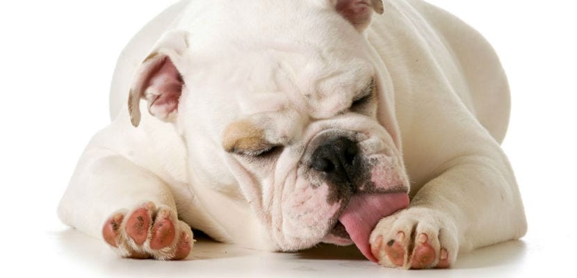 Causes et signaux d&rsquo;alarme : agissez face aux problèmes avant qu&rsquo;il ne soit trop tard.