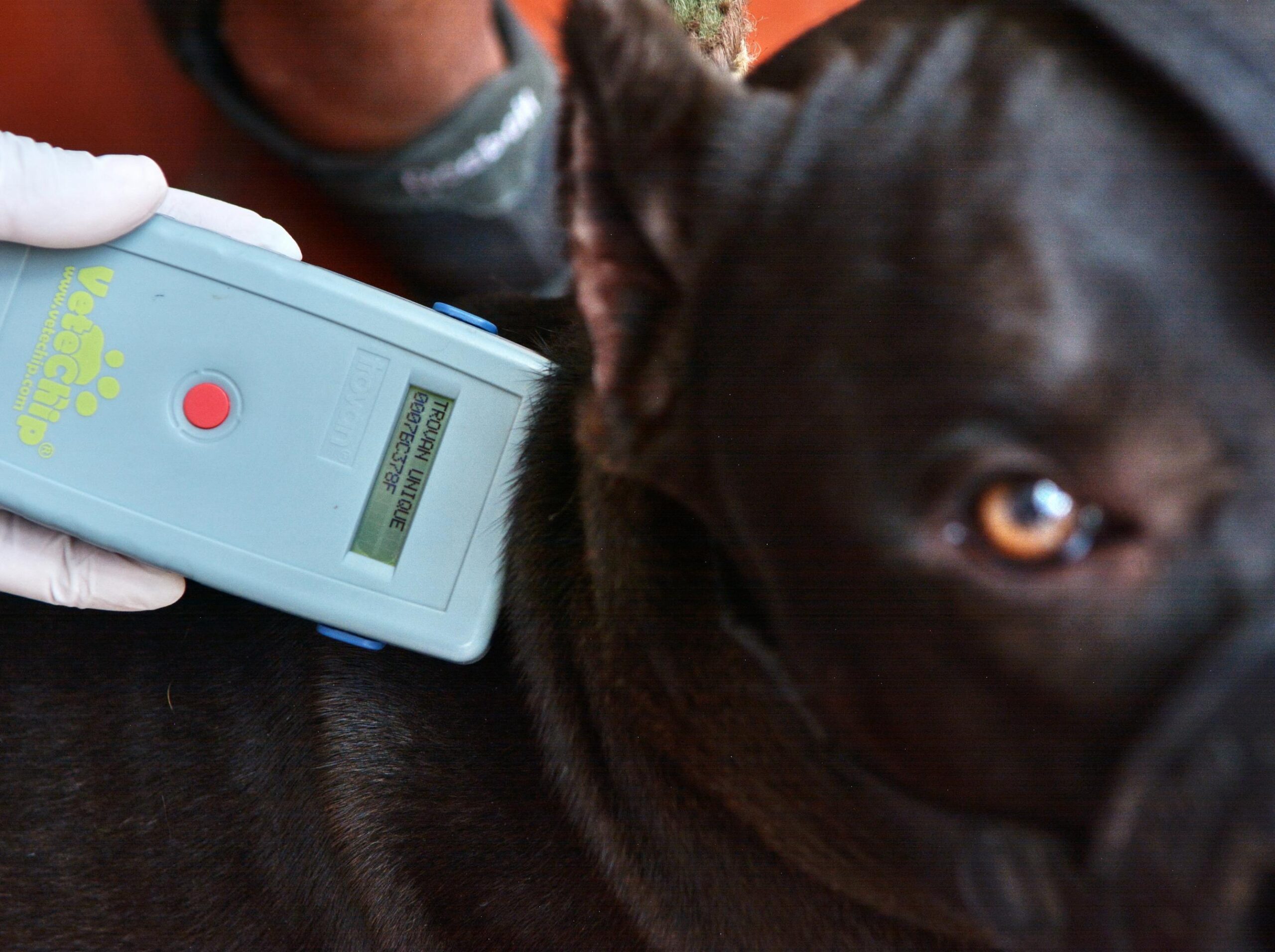 Registro obligatorio et éducation pour une coexistence en sécurité : vers une communauté plus harmonieuse