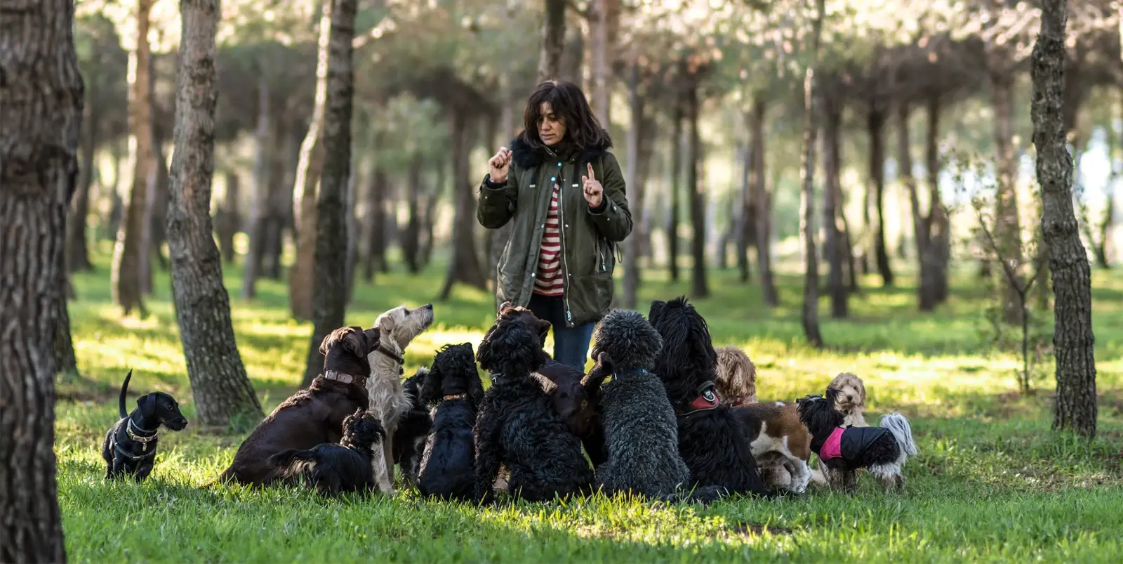 Guide indispensable des services et centres : optimisez votre expérience avec notre sélection complète