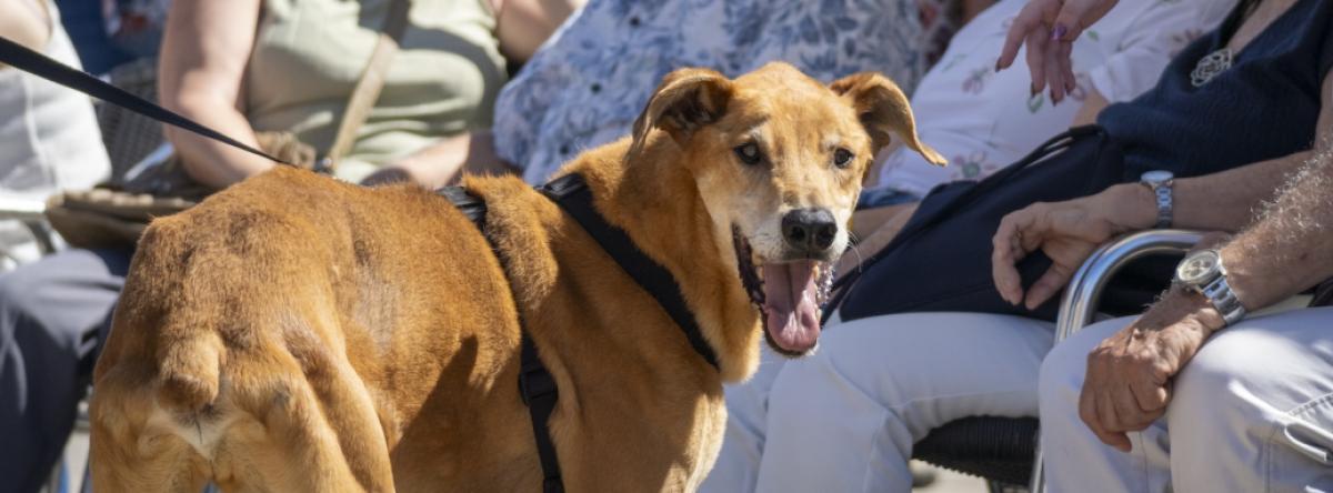 Guide complet pour transformer votre vie : conseils pratiques et stratégies efficaces