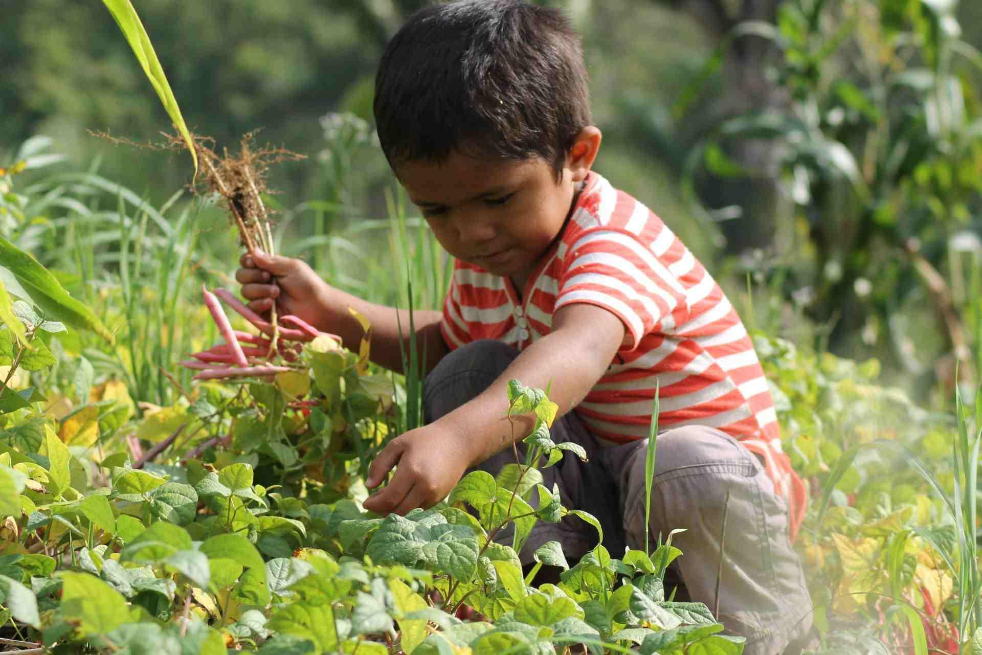 Guide essentiel pour éduquer et cultiver des plantes, avec conseils pratiques et astuces incontournables