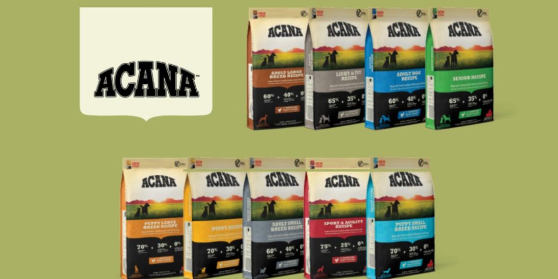 Analyse approfondie du croquette Acana Classic Red : nutrition idéale pour nos compagnons à quatre pattes - plare. Analyse approfondie du croquette Acana Classic Red : nutrition idéale pour nos compagnons à quatre pattes