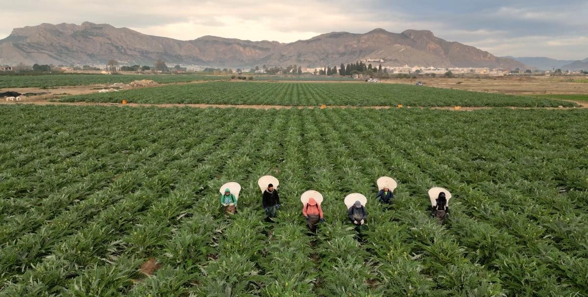 Nouvelles aides de la PAC : un levier durable pour la transition écologique dans le secteur agricole