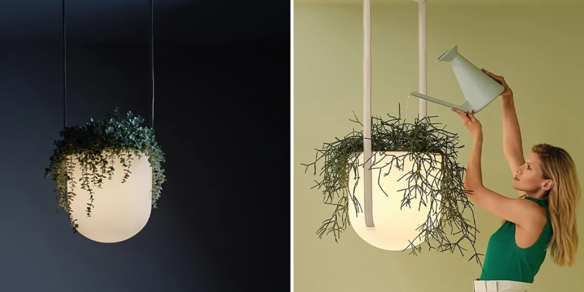 5 lampes qui imitent la lumière du soleil pour réguler le rythme circadien et booster l’énergie - plare. 5 lampes qui imitent la lumière du soleil pour réguler le rythme circadien et booster l’énergie