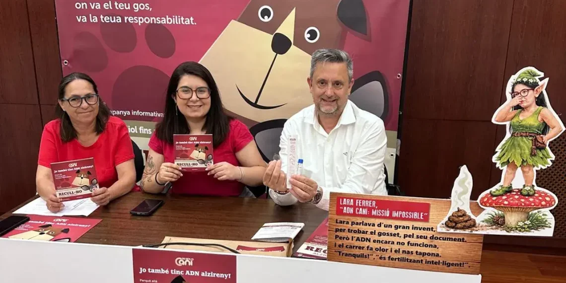Census génétique des chiens à Alzira : un pas vers une meilleure cohabitation et sécurité canine - plare. Census génétique des chiens à Alzira : un pas vers une meilleure cohabitation et sécurité canine
