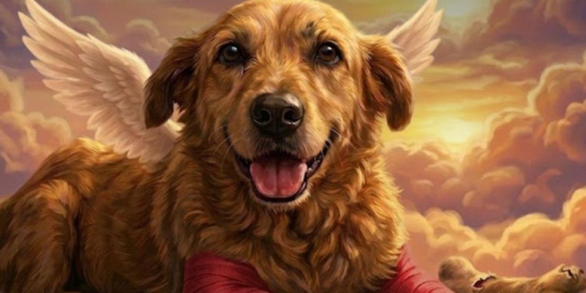 Condamnation historique : plus de 11 ans de prison pour maltraitance animale à Huesitos - plare. Condamnation historique : plus de 11 ans de prison pour maltraitance animale à Huesitos