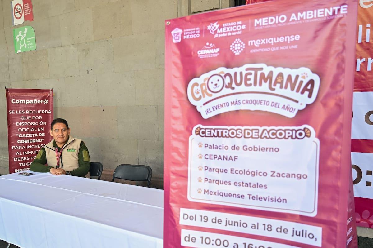 « Soutien aux animaux : croquetmania et sa mission de sauvetage des chiens et chats »