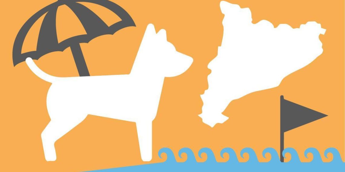 Escapades avec votre chien : plages incontournables en Espagne, règles essentielles et conseils santé - plare. Escapades avec votre chien : plages incontournables en Espagne, règles essentielles et conseils santé