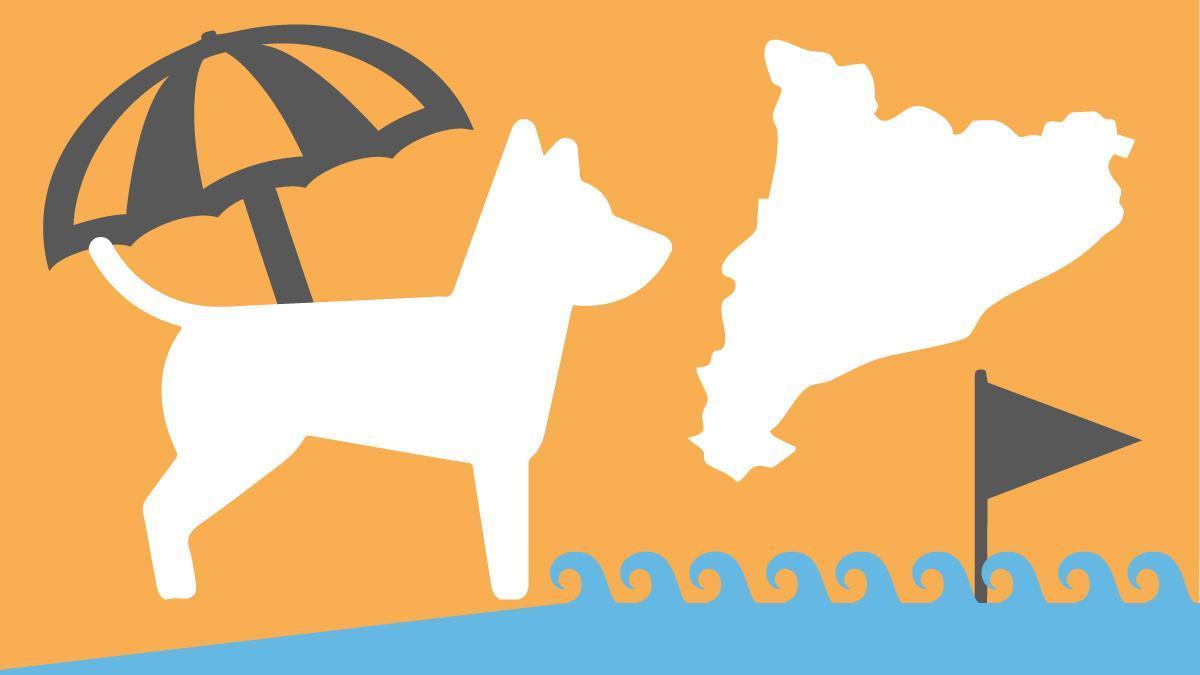 Escapades avec votre chien : plages incontournables en Espagne, règles essentielles et conseils santé