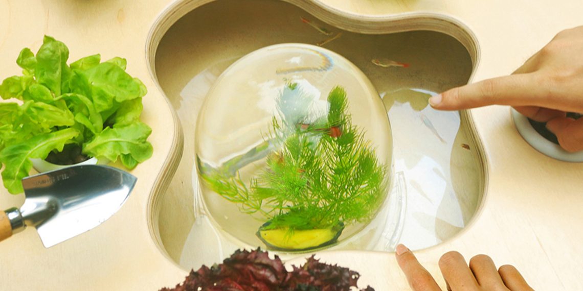 5 idées de jardin intérieur pour petit appartement qui créent une ambiance jungle - plare. 5 idées de jardin intérieur pour petit appartement qui créent une ambiance jungle