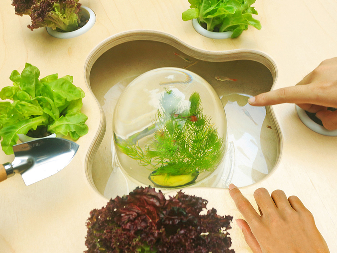 5 idées de jardin intérieur pour petit appartement qui créent une ambiance jungle