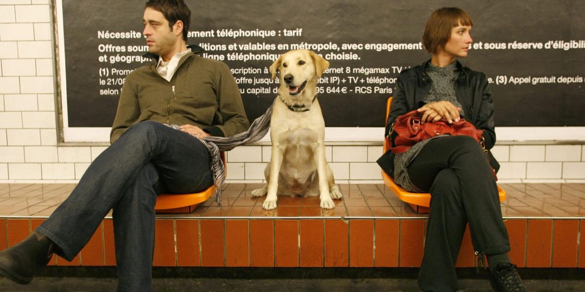 Metro Bilbao facilite les trajets des gros chiens dans son réseau de transport public - plare. Metro Bilbao facilite les trajets des gros chiens dans son réseau de transport public