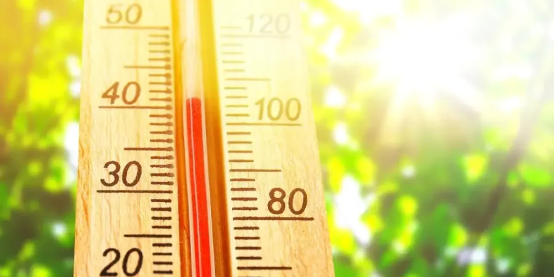 Canicule en Italie : la chaleur extrême fait grimper les températures jusqu’à 42 degrés - plare. Canicule en Italie : la chaleur extrême fait grimper les températures jusqu’à 42 degrés