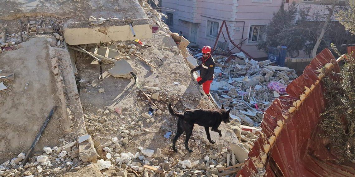 Perros de rescate de la UME: héroes en el terremoto de Venezuela y su impactante labor humanitaria