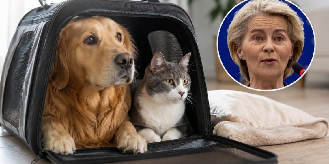 Registro obligatorio de mascotas en la UE: plazos, claves y beneficios para propietarios responsables - plare. Registro obligatorio de mascotas en la UE: plazos, claves y beneficios para propietarios responsables