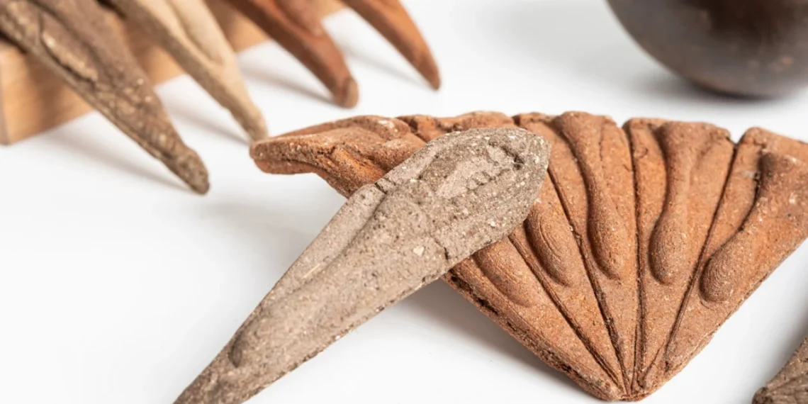 Révolution Écologique : Un Étudiant Crée un Kit de Semences Qui Se Dissout Dans Votre Jardin !