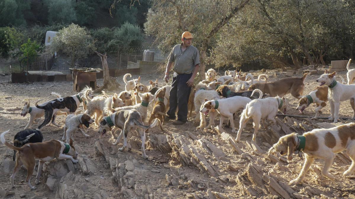 El futuro de los perros de caza en España: regulación europea y el crecimiento de las ferias especializadas