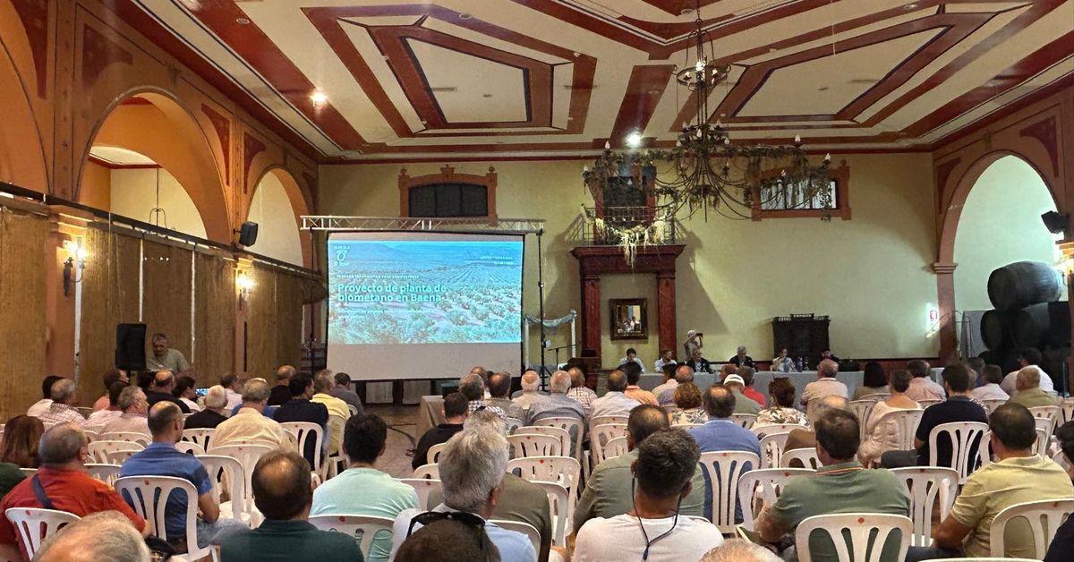 Baena face au défi de la nouvelle usine de biogaz : quel avenir pour l’oliveraie ? - plare. Baena face au défi de la nouvelle usine de biogaz : quel avenir pour l’oliveraie ?