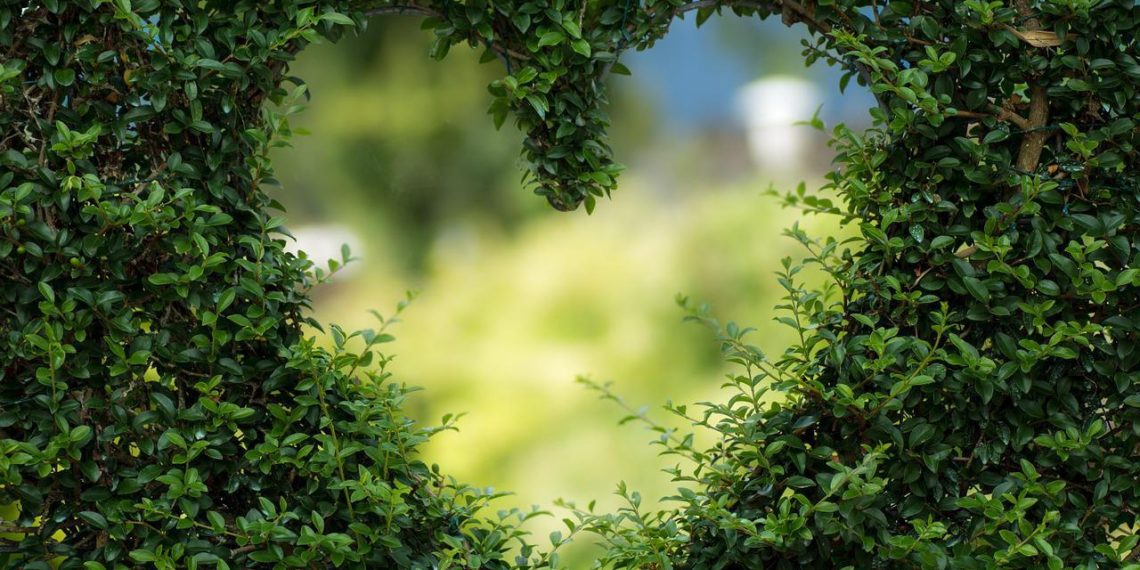 Gestion et valorisation des résidus végétaux : guide complet pour optimiser le recyclage organique - plare. Gestion et valorisation des résidus végétaux : guide complet pour optimiser le recyclage organique